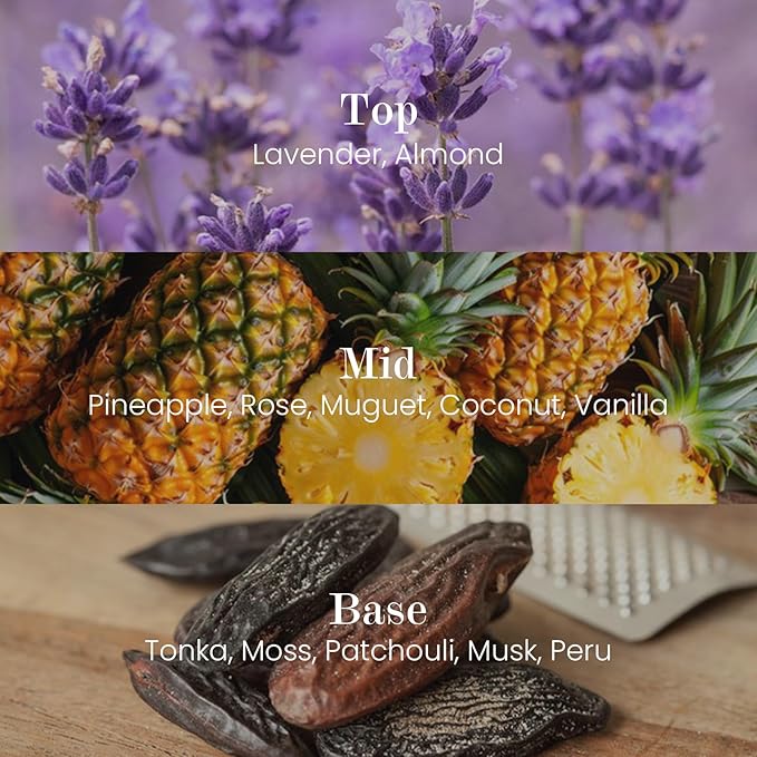 M&SENSE Natural Soy Candle| Lavender Vanilla | 16.6 oz, 95H Burn | Minimalist Scented Candle for Relaxation, Gifting, Home Décor | for Bedroom, Office, Party Large - Bloomnest