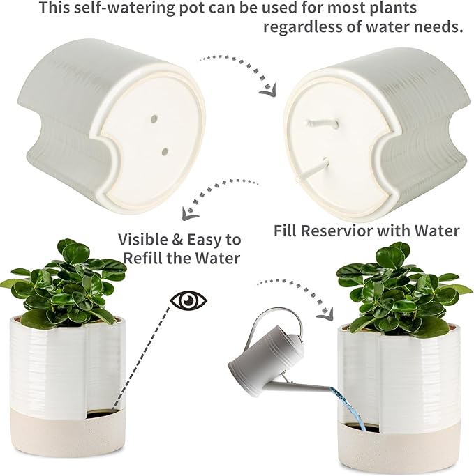 Nihow Self Watering Plant Pot: 8 Inch Ceramic Planter with Drainage Hole & Water Storage Plus for Indoor & Outdoor Plants - Cylinder Round Flower Pot for Succulent/Herbs/Violets - Cream White & Brown - Bloomnest