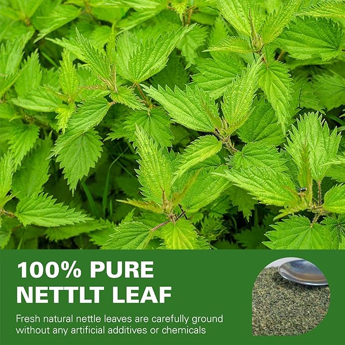 WT WEETEE Nettle Leaf Tea Bags, Made with 100% Pure Stinging Nettle Leaf, Natural Caffeine-free Herbal Tea Rich in Vitamins & Minerals,1.5g x 100 Counts - Bloomnest