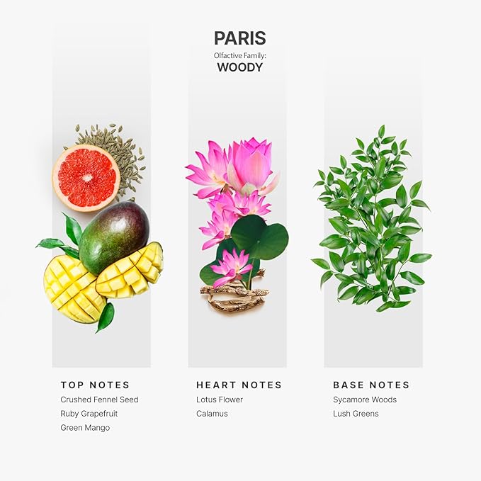 AromaPlan Hotel Scents Paris 5 Fl Oz (148ml), Home Luxury Aroma & Hotel Fragrance Diffuser Oil- Hotel Diffuser Oil for Aromatherapy- USA Made, Bigger Bottle, Bolder Aroma & Longer Lasting - Bloomnest