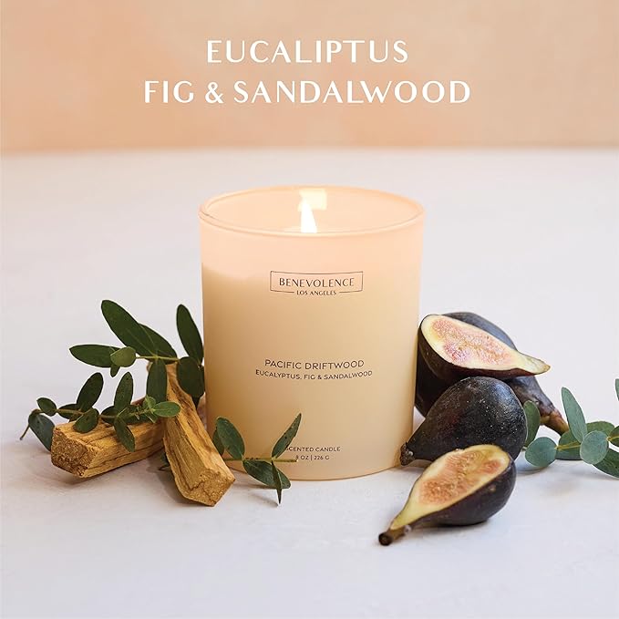Eucalyptus, Fig & Sandalwood – Benevolence LA Fall Scented Candle for Home | 8oz, 45-Hour Burn | Natural Soy Wax, Cotton Wick | Fresh Autumn Fragrance | Malibu Sands Collection – Gift for Women & Men - Bloomnest