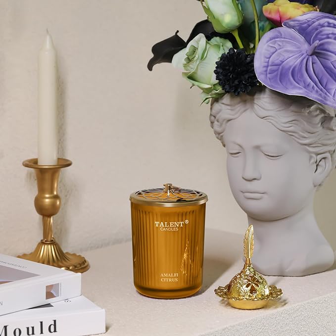 Jar Candles for Home Scented | Aromatherapy Candles Gifts for Women & Men | Natural Soy Candle | 8.4oz Traditional Style | Amalfi Citrus - Bloomnest