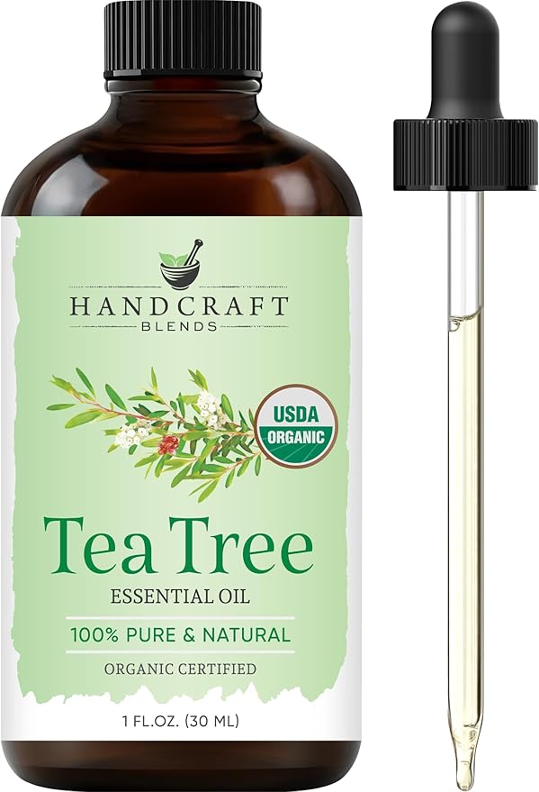 Handcraft Blends Organic Tea Tree Essential Oil – 1 Fl Oz – 100% Pure and Natural – Premium Grade Essential Oil for Diffuser and Aromatherapy HandcraftBlends