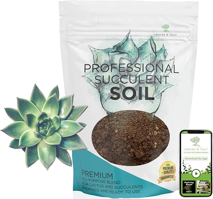 Succulent Soil Premium All Purpose Blend | Large 2.2 Quarts | Pre-Mixed Ready to Use for Cactus and Succulents | Canadian Peat, Course Sand, Pinebark | Made in USA - Bloomnest
