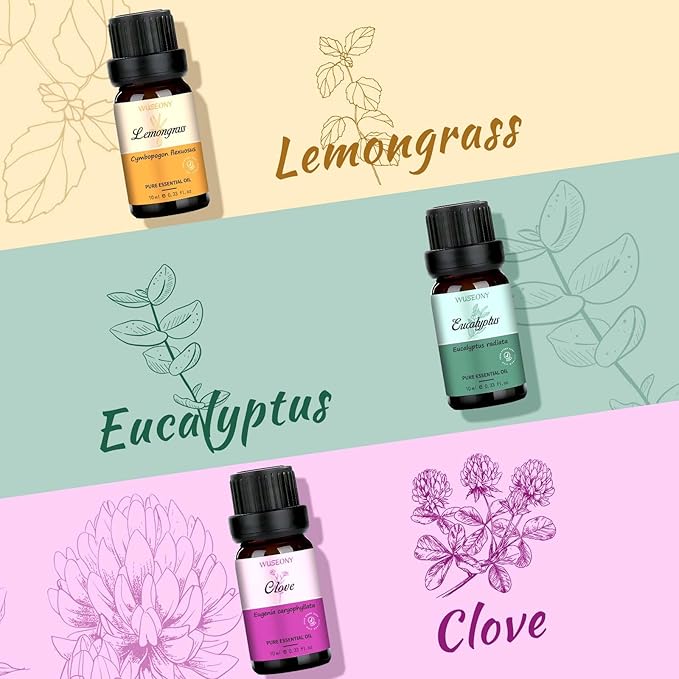 Top 6 Natural Aromatherapy Oils Gift Set, Essential Oils for Diffusers Home, Fragrance Oil Scent for Candle Soap Making - Lavender, Peppermint, Eucalyptus, Lemongrass, Sweet Orange, Clove - Bloomnest