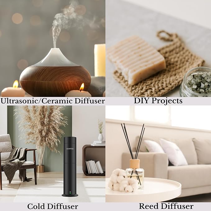 Scentia Hotel My Way Diffuser Oil Inspired by The 1 Hotel MiamiBeach - 120 ml 4.06 fl oz - Fragrance Oil Blend Sandalwood, Cedar & Lemon Notes for Aromatherapy Diffusers and Humidifiers - Bloomnest