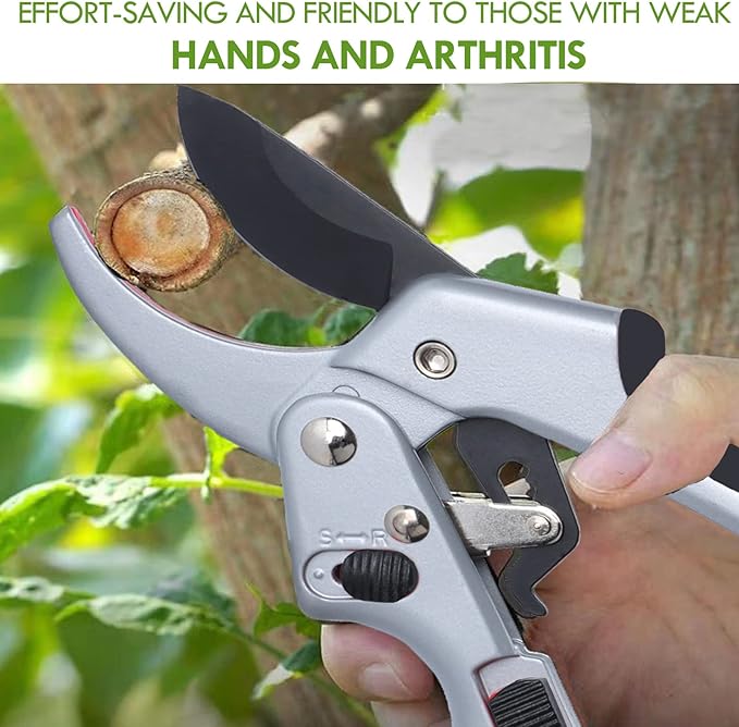 Garden clippers, premium Germany pruners, Work 3 times easier, professional ratchet pruning shears, cutting rose, flower, hedge, stem, tree, Sharp gardening scissors, Arthritis weak hand snips - Bloomnest