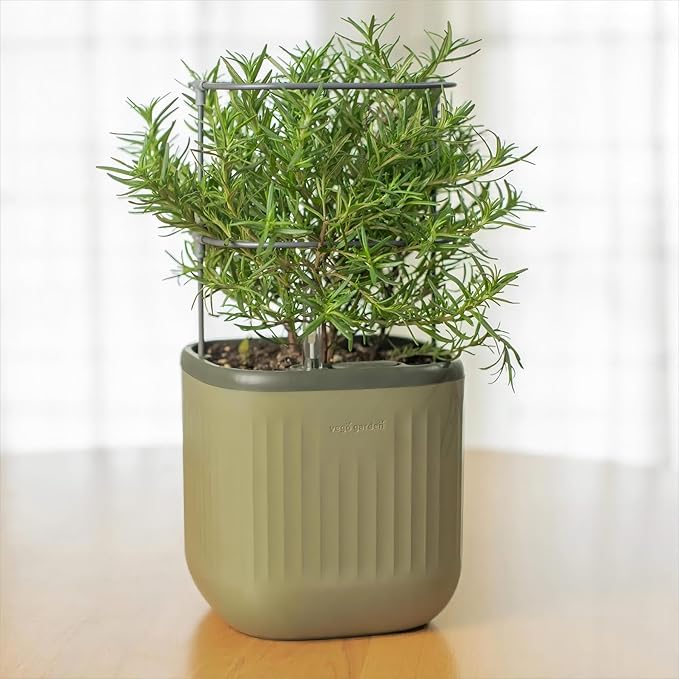 Vego garden Mini Planter Indoor Pots with Trellis Self-Watering Herb Countertop Planter for Climbing Vegetables Flowers Mint Plants Cage- Sage Green - Bloomnest