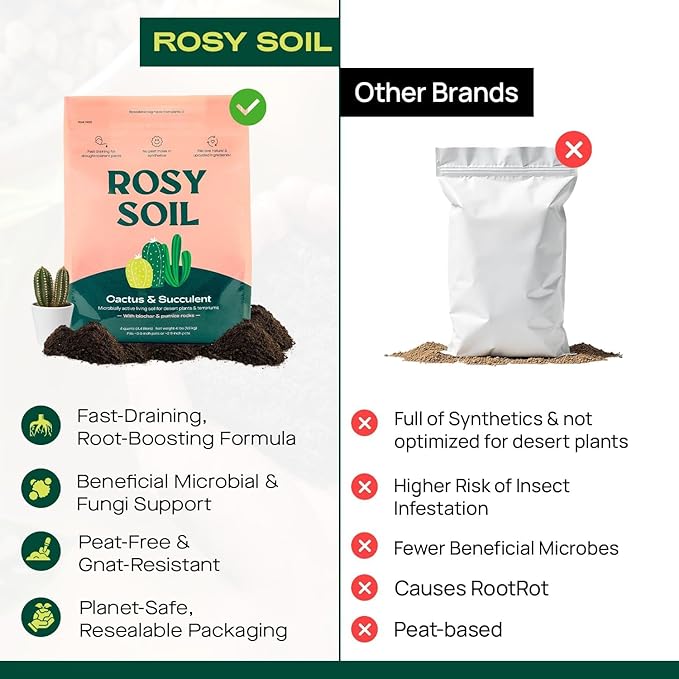 Cactus and Succulent Organic Potting Soil Mix for House Plants - Fast Draining, Root Boosting, Peat-Free, Less Prone to Gnats - Drought-Tolerant - Growth of Aloe Vera, Cacti and Indoor Succulents- 4qt - Bloomnest