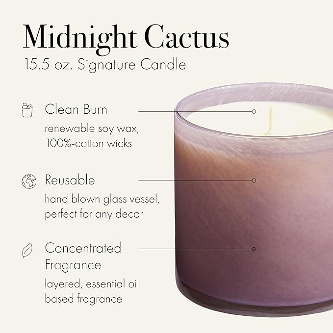 LAFCO New York Signature Candle, Midnight Cactus - 15.5 oz - 90-Hour Burn Time - Reusable, Hand Blown Glass Vessel - Made in The USA - Bloomnest