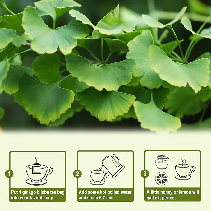 TEARELAE - Ginkgo Biloba Tea Bags, 50 Count - 100% Pure Ginkgo Biloba Leaves - Non-GMO - Naturally Caffeine-free Herbal Tea - Support Vision Health & Enhance Immunity - Bloomnest
