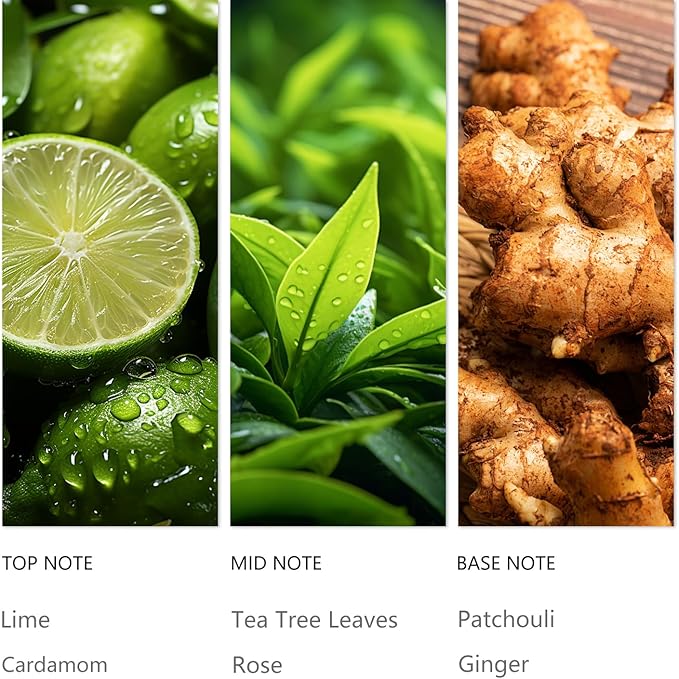 Hotel Diffuser Oil Hope - 120ML Luxury Essential Scent Oils for Cold Air & Waterless Diffusers, Long-Lasting Fragrance Oil for Home, Spa, Office - Premium Aroma Oil Refill, Hotel-Style Air Freshener - Bloomnest