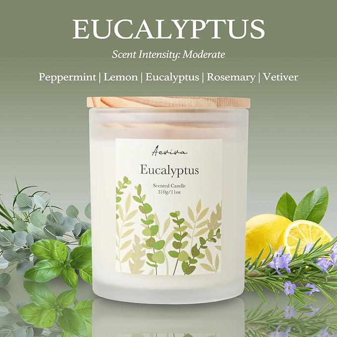 Eucalyptus Scented Candle, 11oz 60 Hour Burn, Natural Soy Wax with Thick Cotton Wick, Highly Scented Aromatherapy Candle for Stress Relief & Meditation, Gifts for Women & Men - Bloomnest