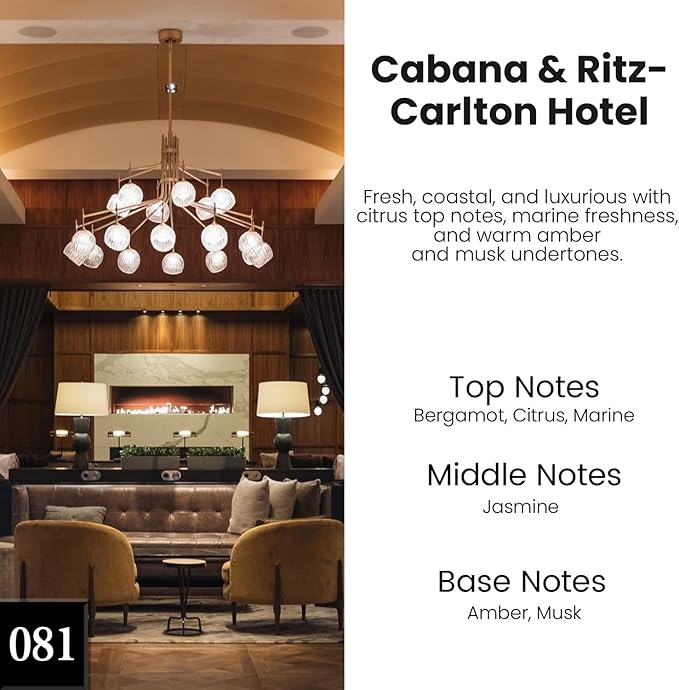 HoogaLife Car Air Freshener Hanging 2 Pack - Hotel Collection Diffuser Oil Inspired by Cabane & Rltz. CarIton Hotel - NO.1012 Fragrance Oil, Car Fresheners for Women Made in USA (081) - Bloomnest