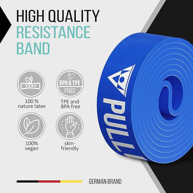 PULLUP & DIP Fitness Bands, Resistance Bands with Bag, Door Anchor (with Sets) and Exercise Guide - Single & in Value Set, Pull-Up Band Fitness Band for Calisthenics - Bloomnest