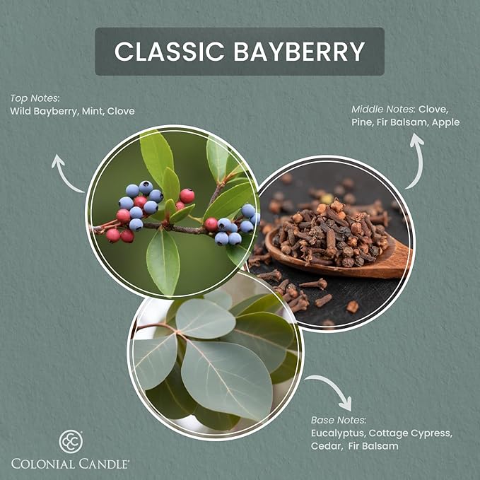 Colonial Candle Bayberry Scented Candle Jar, Highly Fragranced Candles for Home Scented, Mottled Wax Candle, 2 Wick, 8 oz - Made in The USA - Bloomnest