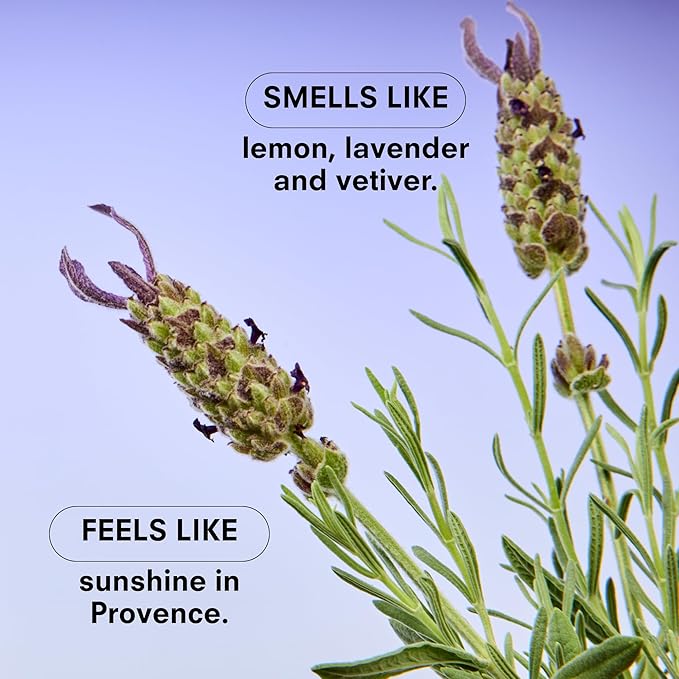 Boy Smells Lavender Candle - 8.5 oz - Luxury Candle with Lemon, Lavander, and Vetiver - Up to 50-Hour Burn - Cotton Wick - Bloomnest