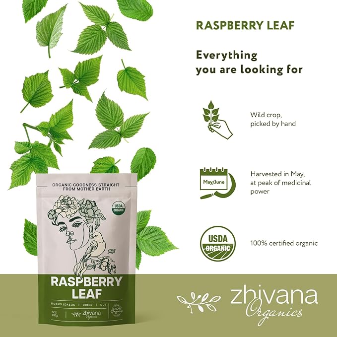 Organic Red Raspberry Leaf Tea – Wild Raspberry Tea for for Pregnancy, Healthy Cycle, Menstrual Cramps – 6oz - Bloomnest