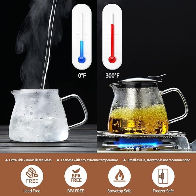 Glass Teapot Tea Pot with Removable Stainless Steel Infuser, 25oz / 760ml Borosilicate Glass Tea Kettle for Office Work, Fine Strainer for Loose Leaf Tea - Bloomnest