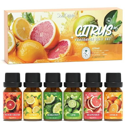 Citrus Essential Oils Set, Fragrance Oil Set for Diffuser, Scent Diffuser Oil for Candle Making- Blood Orange, Lemon, Bergamot, Lime, Grapefruit, Citrus - Bloomnest