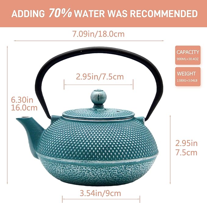 30.4oz Small Cast Iron Teapot, Tea Kettle with Stainless Steel Infuser for Loose Tea, Coated with Enameled Interior, Japanese Style Tetsubin for Stovetop Safe(900ml) - Bloomnest