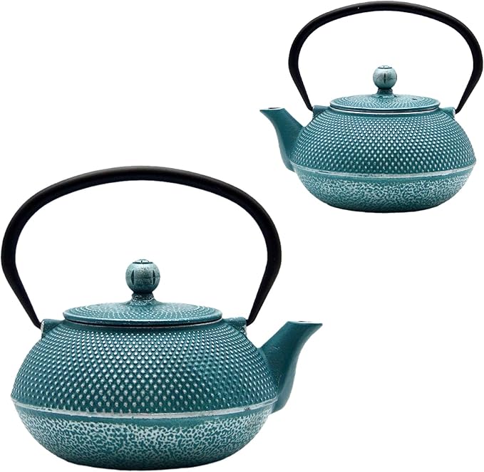 30.4oz Small Cast Iron Teapot, Tea Kettle with Stainless Steel Infuser for Loose Tea, Coated with Enameled Interior, Japanese Style Tetsubin for Stovetop Safe(900ml) - Bloomnest