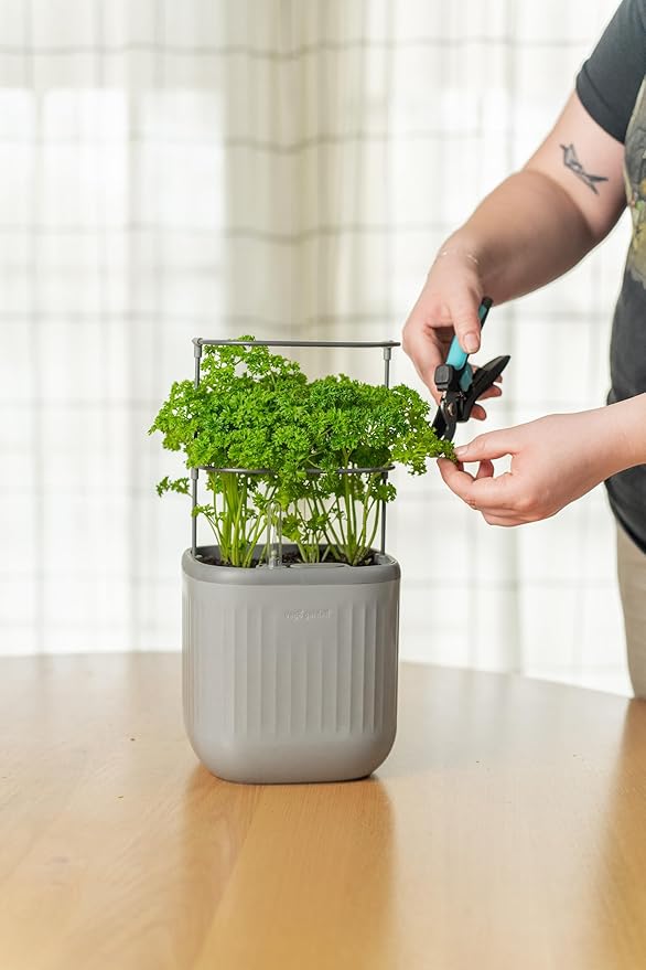 Vego garden Mini Planter Indoor Pots with Trellis Self-Watering Herb Countertop Planter for Climbing Vegetables Flowers Mint Plants Cage- Fog Gray - Bloomnest