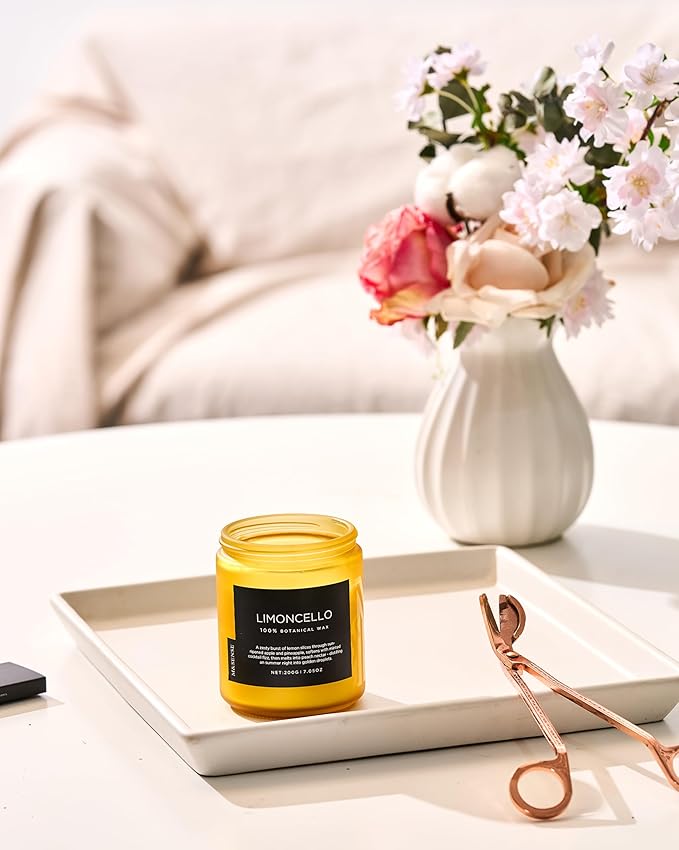 M&SENSE Limocello Summer Scented Candle, 7.05oz 50 Hours Long Lasting Burn Non Toxic Natural Soy Wax Lemon Highly Scented for Home Decor, 2 Wick Relaxing Candle Gifts for Yoga Spa Meditation - Bloomnest