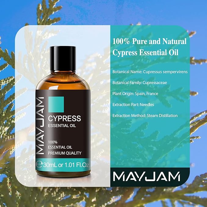 MAYJAM Cypress Essential Oil, 1.01fl.oz Cypress Oil with Glass Dropper, Ideal for Bedroom Living Room Office Use(30ml) - Bloomnest
