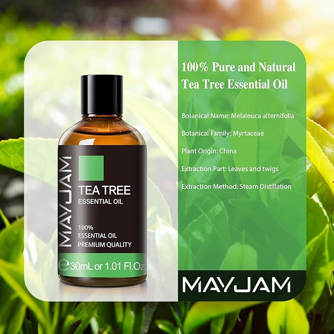Tea Tree Essential Oil, MAYJAM Pure Essential Oils for Diffusers for Home and Office, 1.01FL.OZ Tea Tree Oil for Candle Making, DIY Soap, 30ML/Bottle - Bloomnest