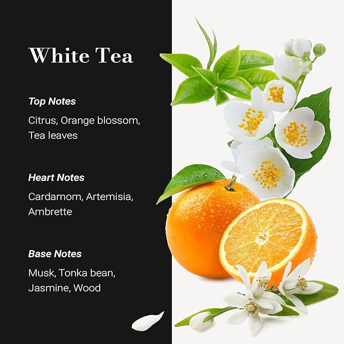 JCLOUD White Tea Hotel Diffuser Oil - 16.9 Fl Oz (500mL) - Luxury Cold Air Diffuser Oil Refill & Hotel Scent Essential Oils Bulk for Home, Aromatherapy, Offices - Bloomnest