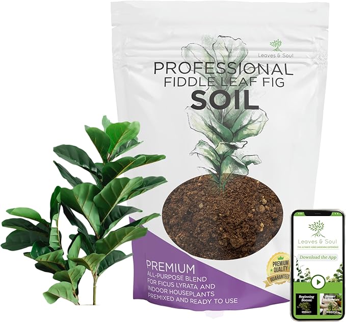 Fiddle Leaf Fig House Plant Soil Premium All Purpose Blend | Large 2.2 Quarts | Ready to Use for Indoor Houseplants | Peat, Sawdust, Course Sand and Pinebark | Made in USA - Bloomnest