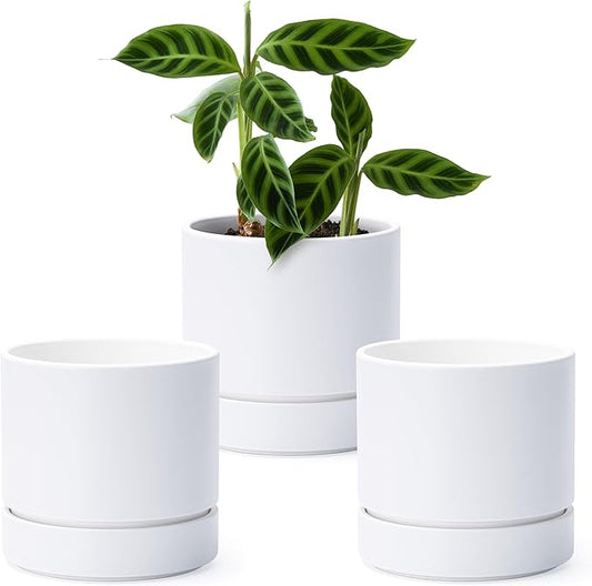 6 Inch Modern Plastic Round Pots for Indoor Houseplants and Herbs, Pack of 3 Planter Pot with Drainage Hole & Saucer, Deep Water Catch Tray, Straight Cylindrical Pot for Plants, Matte White, 23-D-S-1 - Bloomnest