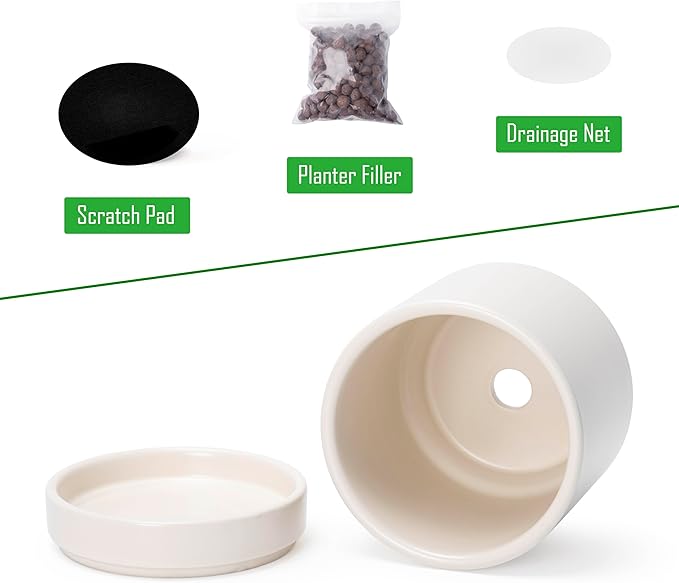 D'vine Dev Set of 4 Small Ceramic Plant Pots, 3.5 Inch Succulent Planter Pot for Plants with Drainage Hole and Saucer, Oatmeal, 94-X-A-8 - Bloomnest
