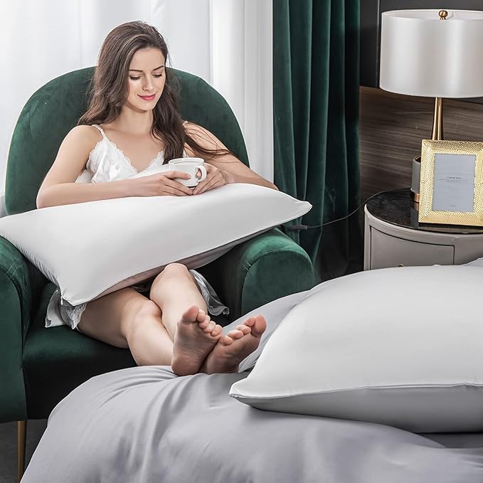 Mulberry Silk Pillowcase for Hair and Skin,Queen Size Cooling Silk Pillow Case with Hidden Zipper,Allergen Proof Dual Sides Soft Breathable Smooth Silk Pillow Cover for Women.(Queen,Light Gray) - Bloomnest