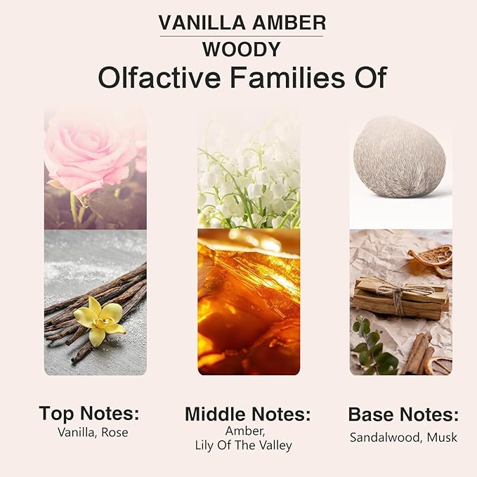 PHATOIL 3.38FL.OZ Vanilla Amber Fragrance Oils for Aromatherapy, Essential Oils for Diffusers for Home, Perfect for Diffuser, Yoga, Skin Care, DIY Candle and Soap Making - 100ml - Bloomnest