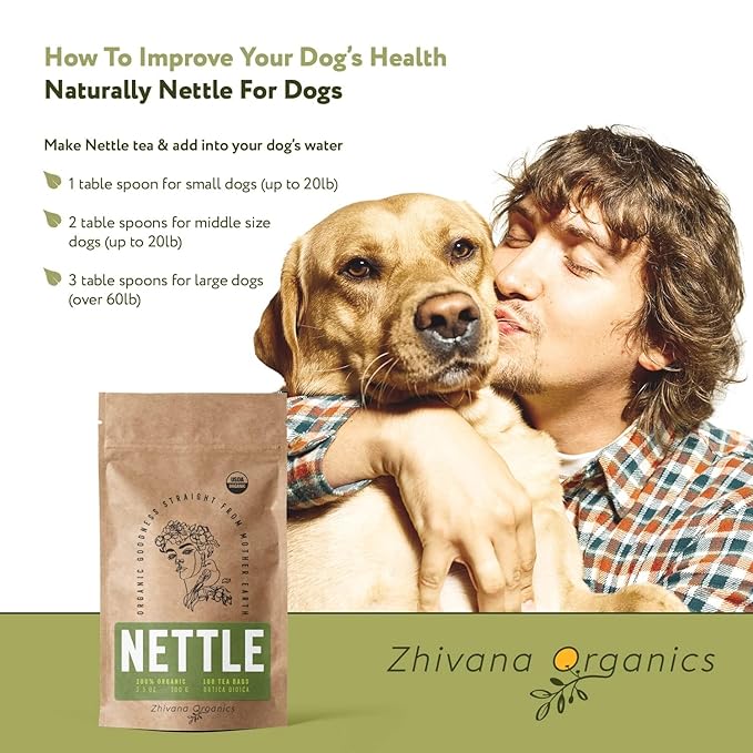 Stinging Nettle Tea Organic (100 Tea Bags) - Stinging Nettle Leaf, Ortiga Verde Organica, Urtica Tea - Bloomnest
