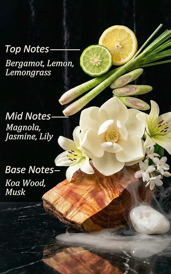 24K Hotel Diffuser Oil Inspired by W Hotel – Fragrance & Essential Oil Blend for Waterless & Cold Air Diffusers – Citrus, Lemongrass, Jasmine – Long-Lasting Aroma – Aromatherapy – 4 Fl Oz Glass Bottle - Bloomnest