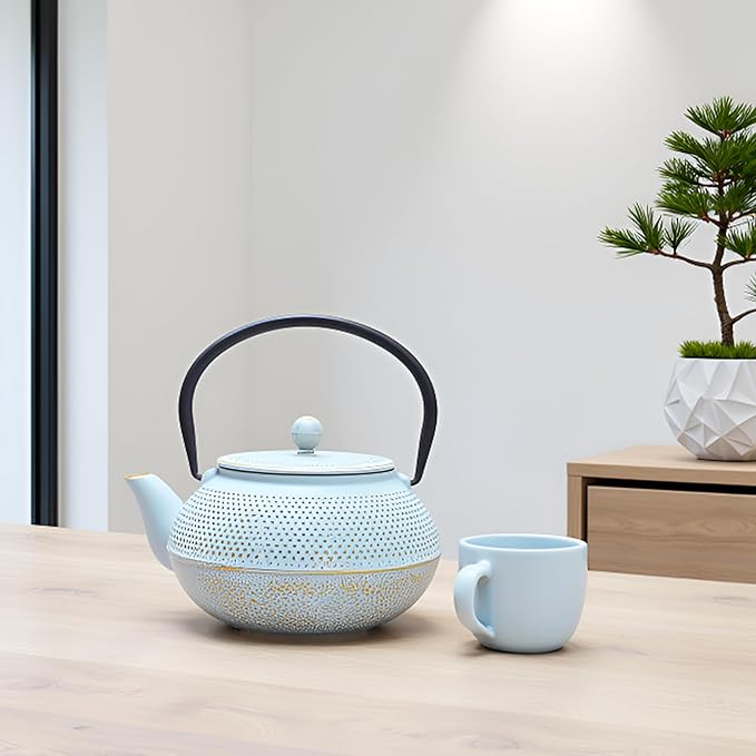 30.4oz Small Cast Iron Teapot, Tea Kettle for Stovetop Safe Coated with Enameled Interior, Japanese Tetsubin, Tea Pot with Stainless Steel Infuser for Loose Tea(900ml) - Bloomnest
