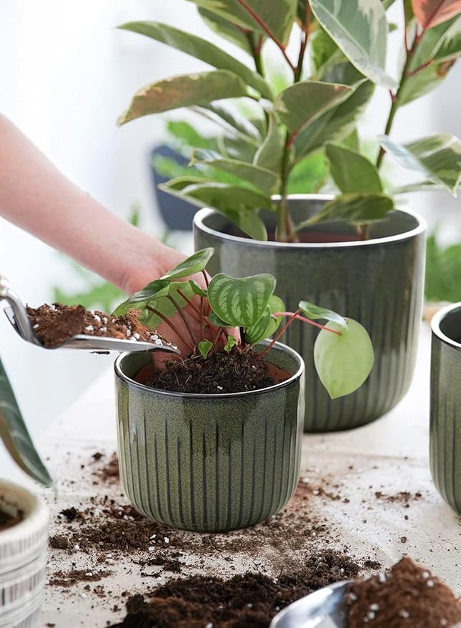 LE TAUCI Fluted Ceramic Planters Set of 3 – 8.3/7 / 5.7 in Dark Olive Reactive Cylinder Indoor Plant Pots with Drainage Plug & Mesh, Glossy Stoneware Flower Pots for Succulents Herbs - Bloomnest