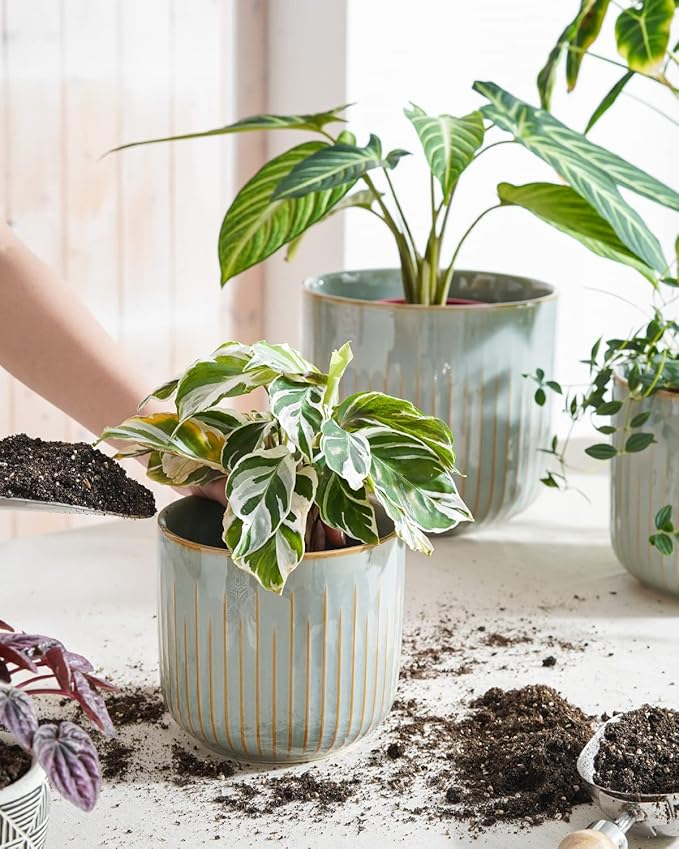 LE TAUCI Fluted Ceramic Planters Set of 3 – 8.3/7 / 5.7 in Blue Gray Reactive Cylinder Indoor Plant Pots with Drainage Plug & Mesh, Glossy Stoneware Flower Pots for Succulents Herbs - Bloomnest