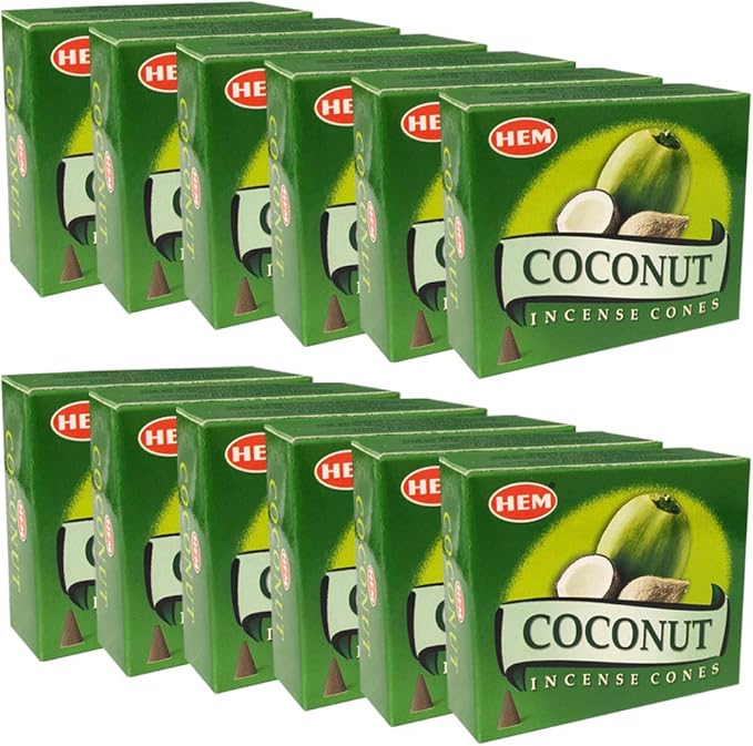 Coconut Incense Cones And Cone Incense Burner Bundle Insence Insense Hem Incense TRUMIRI