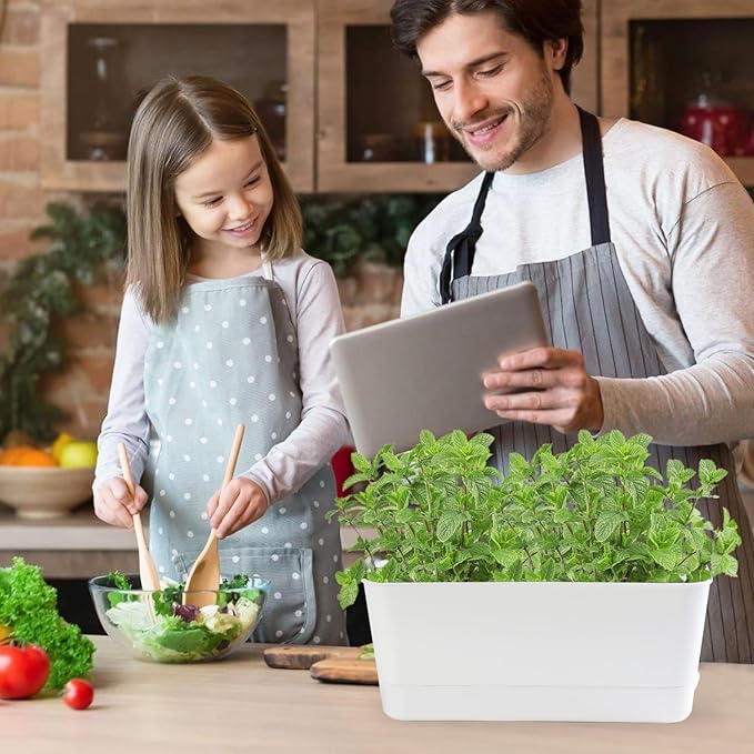 10 Inch Self Watering Planters for Indoor Plants: 2 Packs Rectangular Plant Pots with with Drainage and Tray, Window Pot Self Watering Planter for Herb, Houseplants - Bloomnest