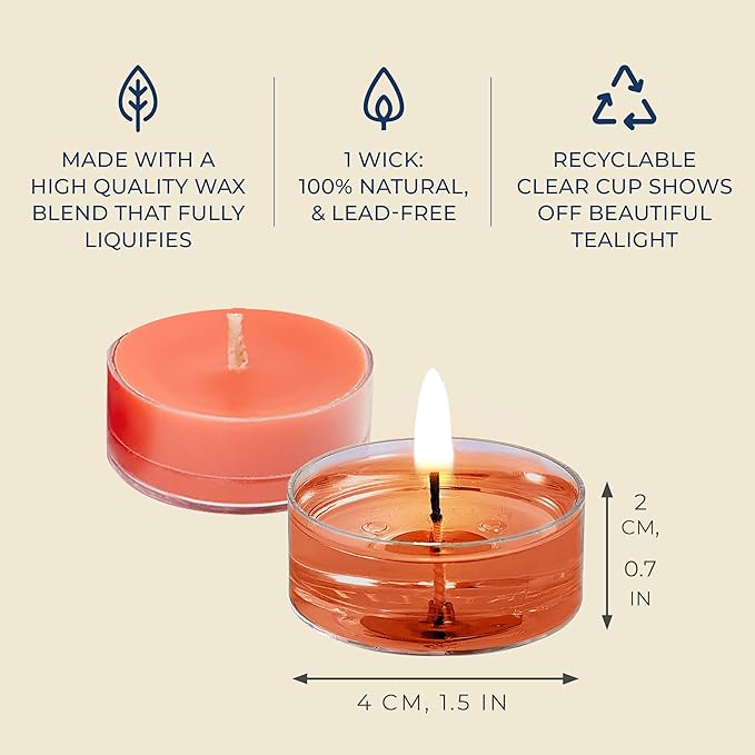PartyLite Set of 12 Tea Lights Candles, Grapefruit & Rosemary Scent, Aromatherapy Scented Candles Gift Set, Up to 4 to 6 Hours Burn Time - Bloomnest