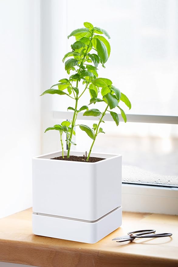 4 Inch Herb Planter Pot, Plastic Planter with Drainage Holes and Saucer, Modern Decorative Gardening Pot for Indoor Plants, Flowers, Herbs, Succulents, White, Set of 1, 76-Y-A-1 - Bloomnest
