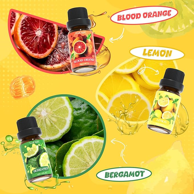 Citrus Essential Oils Set, Fragrance Oil Set for Diffuser, Scent Diffuser Oil for Candle Making- Blood Orange, Lemon, Bergamot, Lime, Grapefruit, Citrus - Bloomnest