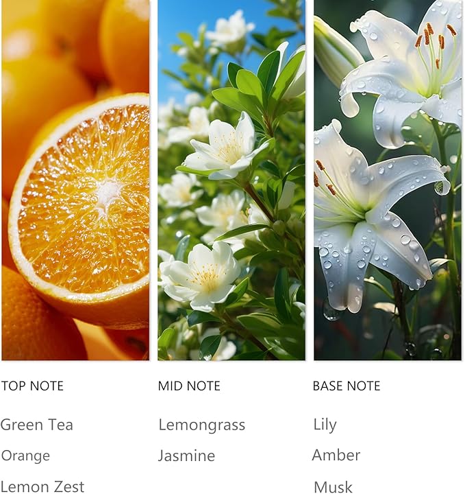 Hotel Luxury Essential Oil for Waterless Diffusers, La Lover Scent 120ML Fragrance Oil for Cold Air Diffuser, Natural Home Aromatherapy Scented - Bloomnest