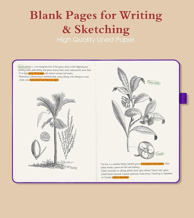 PAIBAS Blank Journal Notebook for Women Men,160 Pages,A5 Hardcover Sketchbook for Drawing, Sketch book, Unlined Notebooks for School,Work, Note Taking,Travel Journals for Writing 5.8"x8.5" (Purple) - Bloomnest
