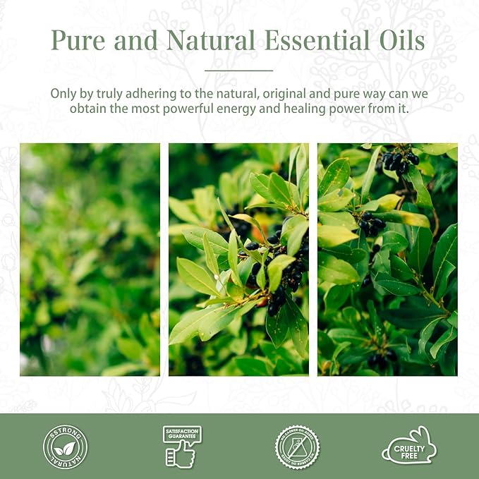 Camphor 3.38fl.oz Essential Oil, PHATOIL Aromatherapy Essential Oils for Diffuser, Humidifier, Perfect for DIY Soap, Candle, Bath Bombs Making(100ml) - Bloomnest