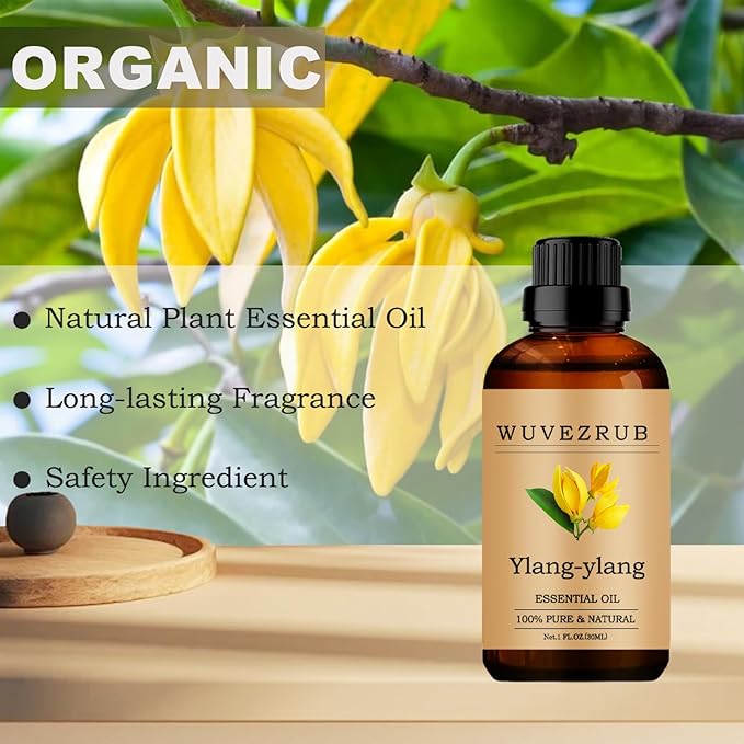 Ylang-Ylang Essential Oils, 30ML Pure and Natural Essential Oil for Aromatherapy Diffuser - Ylang-Ylang /1 Fl Oz - Bloomnest